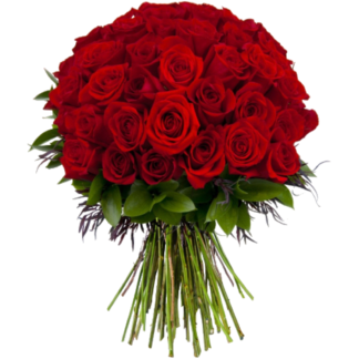 51 red roses | Flower Delivery Dubna