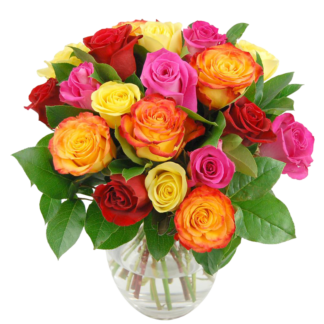 25 colorful roses | Flower Delivery Dubna